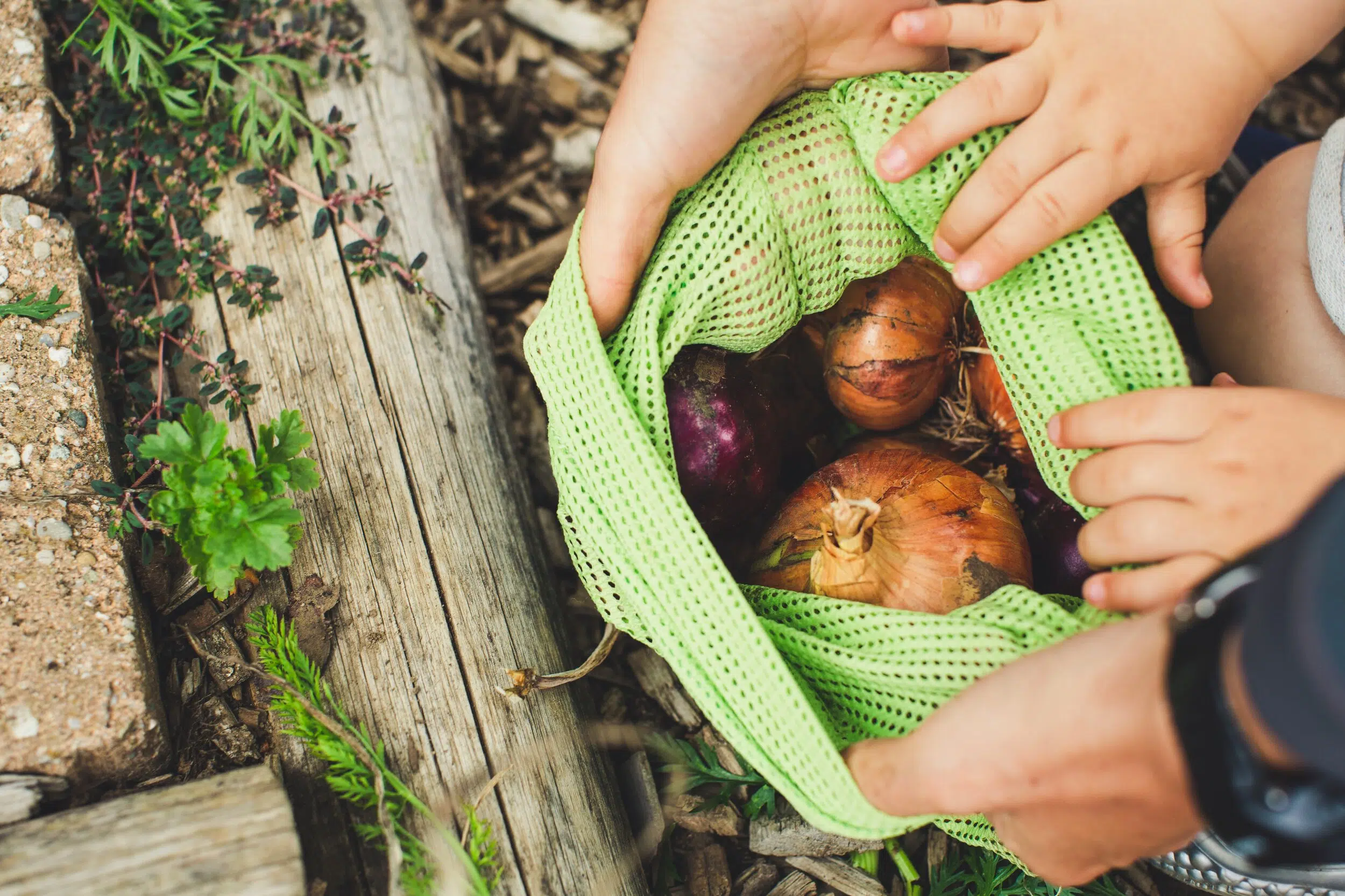 Fighting climate change by investing in food waste reduction