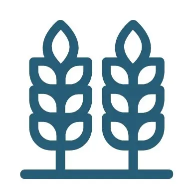 Soil Toxicity