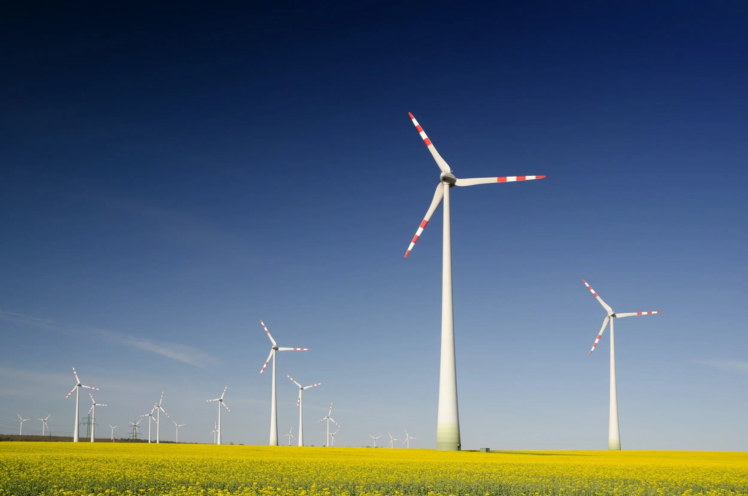 Investing in Clean Energy: Understanding the Global Energy Transition
